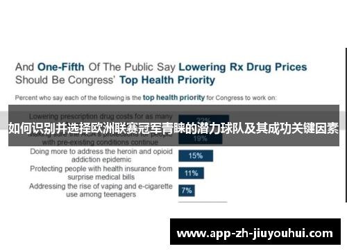 如何识别并选择欧洲联赛冠军青睐的潜力球队及其成功关键因素