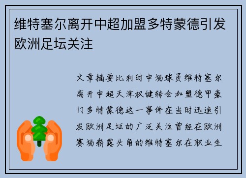 维特塞尔离开中超加盟多特蒙德引发欧洲足坛关注 维特塞尔离开中超加盟多特蒙德引发欧洲足坛关注